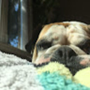 Meet your Posher, Stacy